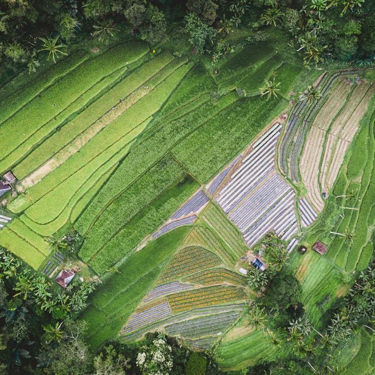 Kids playground area in United Kingdom